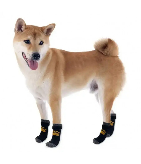 Hunde und Katze Socken